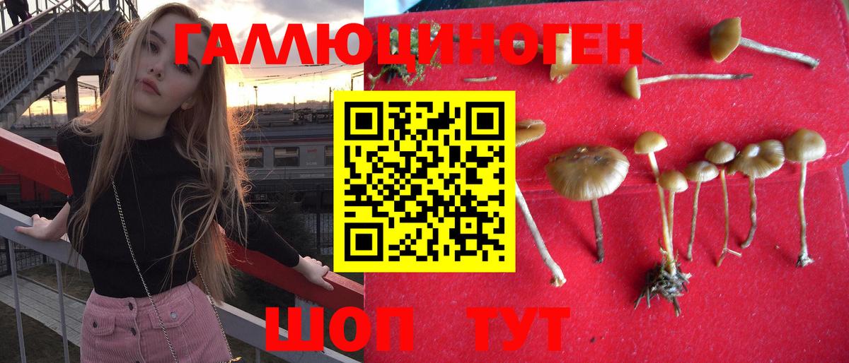 Галлюциногенные грибы мухоморы  Вход с VPN  Тельмана 