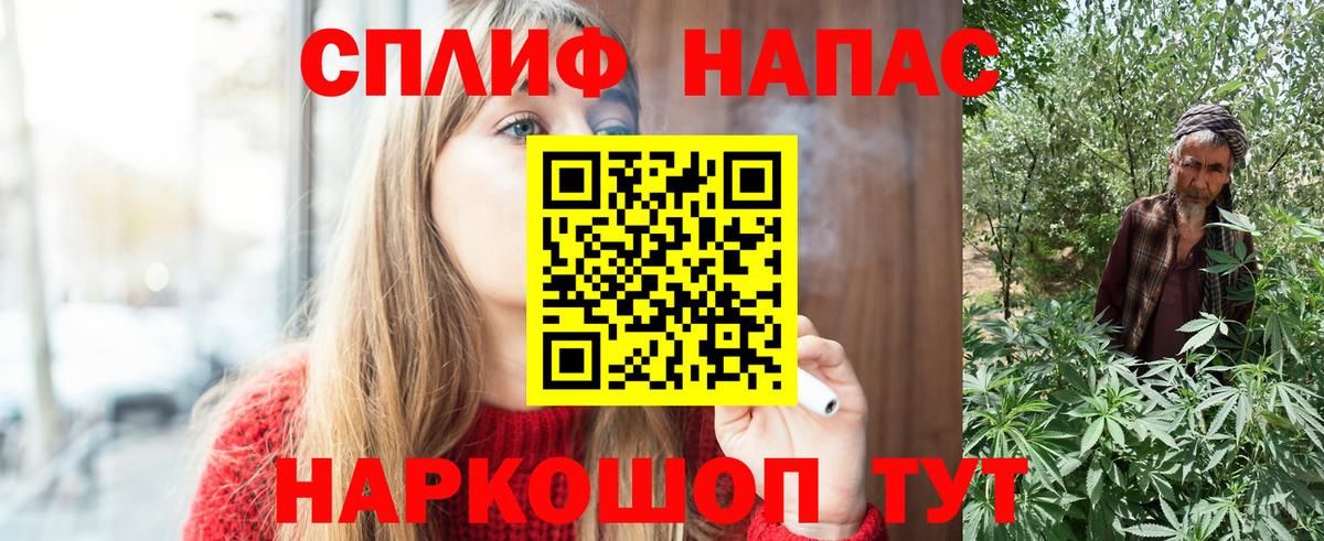 Бошки марихуана планчик Тельмана